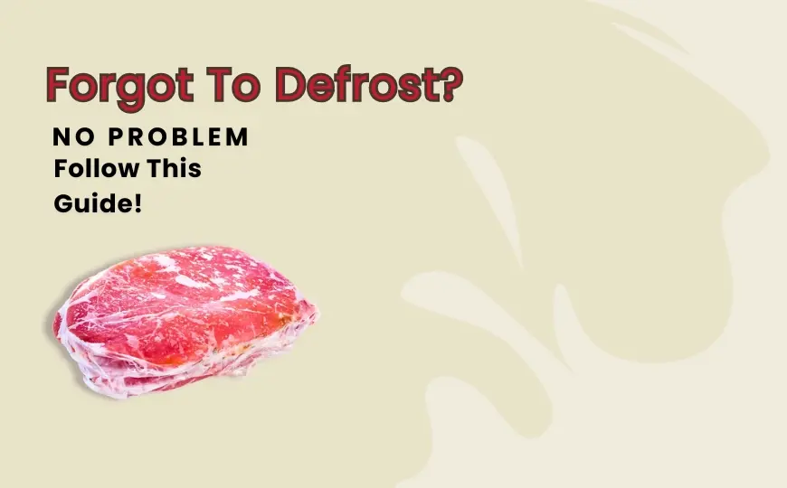 A Guide to Freezing Defrosting and Refreezing Raw Dog Food